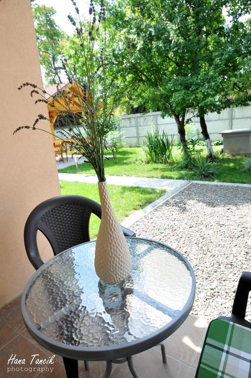 Apartments Svetlica Backi Petrovac Exterior foto